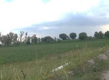 Terreno / Lote , Pedro Escobedo · Terreno Agricola en Venta, 600has, Pedro Escobedo, Querétaro
