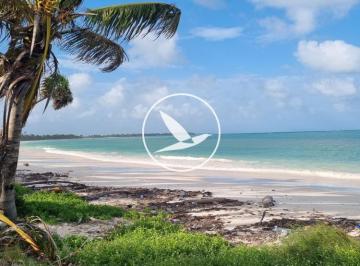 Terreno / Lote , Tulum · Terreno en Sian ka'An, Tulum con 100 m de Playa y 100 m de Laguna
