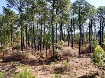 Terreno / Lote , Tapalpa · Terreno en Venta | Los Espinos | a 200 m de La Entrada a Los Reflejos | Tapalpa