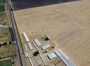 Terreno industrial de 10 habitaciones, Tototlán · Rancho, Indsutrial, Agricola y Comercial.