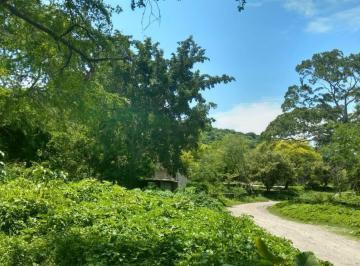Terreno / Lote · 25000m² · Terreno - Las Palmas