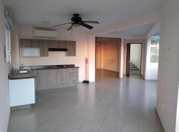Departamento de 1 habitación, Acapulco de Juárez · Departamento Suite de 1 Rec, 2 Bñs, con Roof Garden, Vista, Alberca, Vigilancia