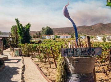 Terreno / Lote , Ensenada · Terreno en Venta en Valle de Guadalupe