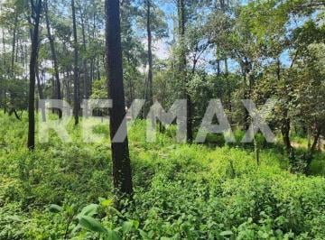Terreno / Lote · 21500m² · Terreno en Venta - (4)