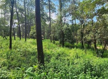 Terreno / Lote · 21500m² · Terreno en Venta - (4)