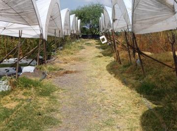 Terreno / Lote , Acatlán de Juárez · Venta de Terreno, Acatlan de Juárez, Ideal Para Inversión