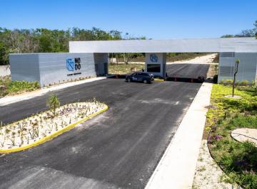 Local comercial , Hunucmá · Terreno Industrial en Venta | 3,080 m² | Carretera Mérida–tetiz