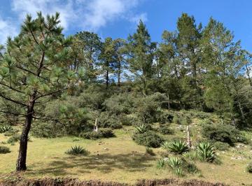 Terreno / Lote · 5000m² · Terreno Campestre Para Construccion