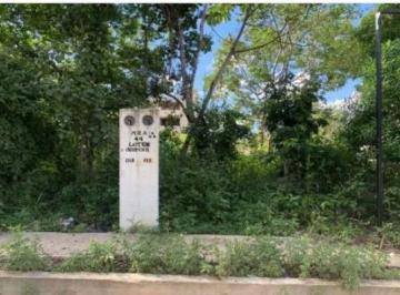 Terreno / Lote , Tulum · Venta de Terreno en La Veleta, Tulum