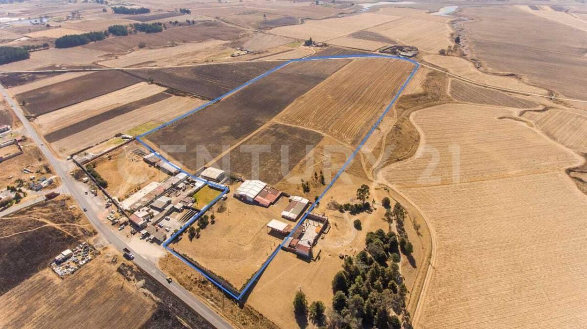 Ranch for Sale