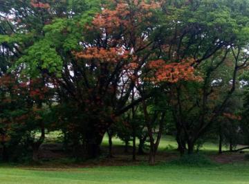 Terreno / Lote , Xochitepec · Terreno en Venta, 1000 m² en Club de Golf Santa Fe