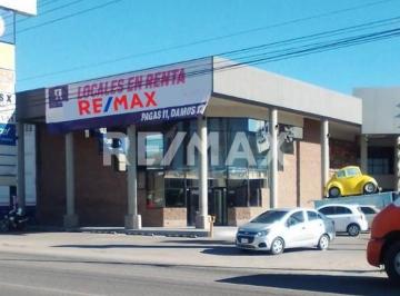 Local comercial · 305m² · 4 Estacionamientos · Local Comercial en Renta en Soliplaza, Hermosillo, Sonora.