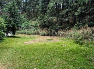Terreno / Lote · 7247m² · Venta Terreno San Jose de Las Manzanas 10902 Rtv