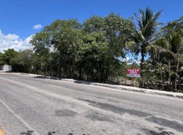 Terreno comercial , Solidaridad · Venta Terreno Comercial Av Colosio Playa del Carmen