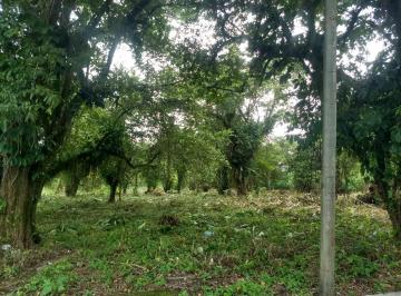 Terreno / Lote · 10000m² · Terreno en Pichucalco Centro