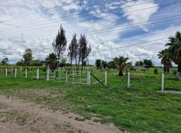 Terreno / Lote · 4165m² · Terreno en Venta en Carretera Al Mezquital - (4)