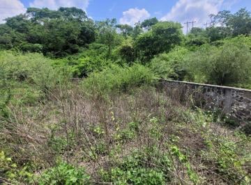 Terreno / Lote · 223000m² · Terreno - Ticuman