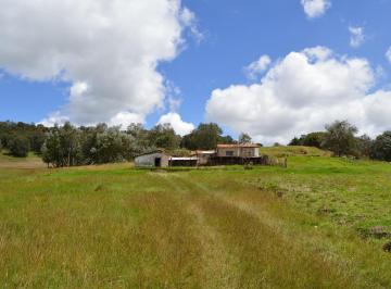 Rancho de 1 habitación, Acambay · Rancho en Venta Acambay Estado de México