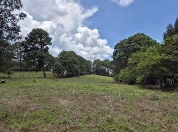 Terreno / Lote · 8780m² · Terreno en Cerro Colorado