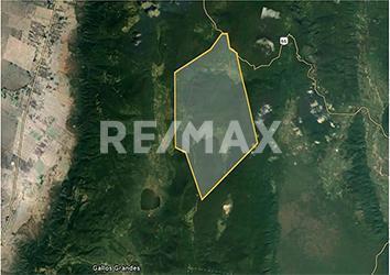 Terreno comercial · 44900000m² · Terreno en Venta en Tamaulipas - (4)