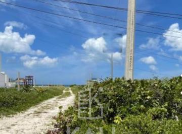 Terreno / Lote , Dzemul · Terreno de 278 m² en Venta, Yucatán