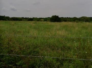 Terreno / Lote · 150000m² · 15 Hectáreas en Venta Cerca del Aeropuerto de Veracruz