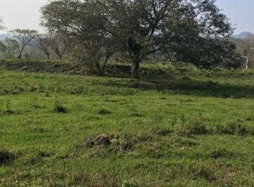 Terreno / Lote · 80000m² · Venta de Rancho de 8 Hectáreas en Misantla