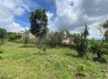 Terreno / Lote · 5654m² · Venta de Terreno en El Chico, Veracruz