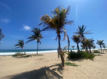 Casa · 734m² · 4 Recámaras · 15 Estacionamientos · Casa de Playa en Venta, Acapulco (13,896 M&sup2;) - (4)
