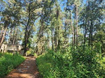Terreno / Lote · 2159m² · Terreno en Venta - (4)