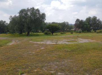 Terreno / Lote , Tepetlaoxtoc · Venta Terreno Texcoco