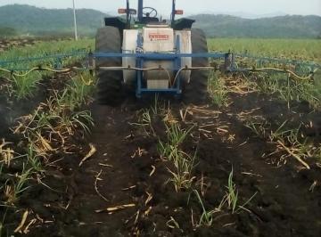 Terreno / Lote · 480000ha · Rancho Cañero en Venta en Ciudad Valles