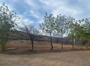 Terreno / Lote · 321m² · Terreno en Venta en Nuevo Imala, Culiacan, Sinaloa