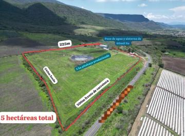 Rancho , Jocotepec · Venta Terreno Agricola, Jocotepec