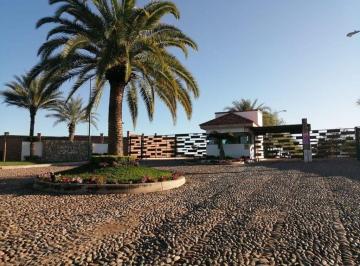 Terreno / Lote · 694m² · Terreno en Venta en Campestre El Toro, Culiacan, Sinaloa