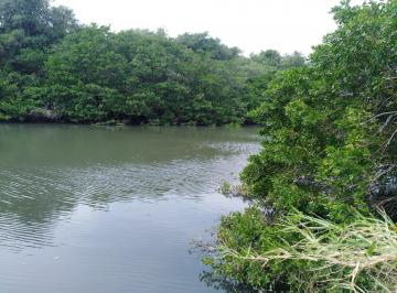 Terreno / Lote , Boca del Río · Terreno en Venta en Boca del Río Río, Arroyo Moreno