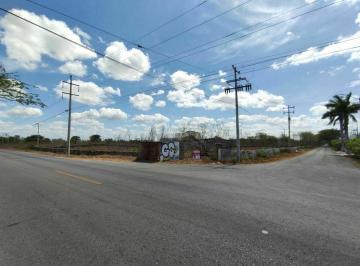 Terreno / Lote · 5063m² · Terreno en Venta Motul - Telchac