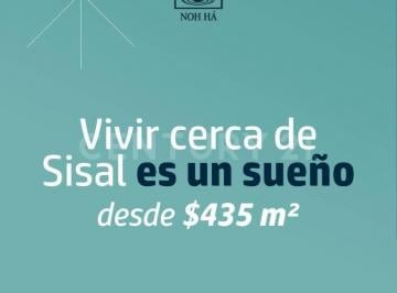 Terreno / Lote · 480m² · Terreno en Venta, Sisal Yucatán