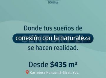 Terreno / Lote · 480m² · Terreno en Venta, Sisal Yucatán