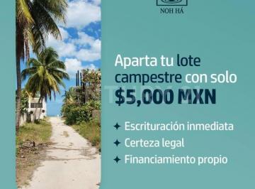 Terreno / Lote · 341m² · Terreno en Venta, Sisal Yucatán