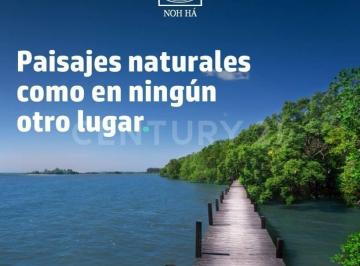 Terreno / Lote · 440m² · Terreno en Venta, Sisal Yucatán