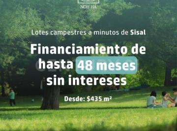 Terreno / Lote · 440m² · Terreno en Venta, Sisal Yucatán