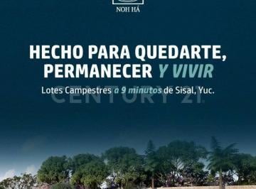 Terreno / Lote · 440m² · Terreno en Venta, Sisal Yucatán