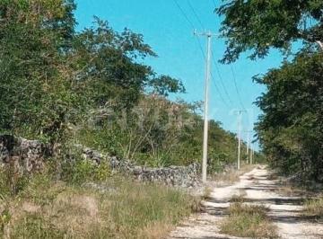 Terreno / Lote · 457m² · Terreno en Venta, Sisal Yucatán
