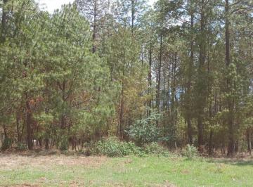 Terreno / Lote , Atemajac de Brizuela · Terreno Venta Atemajac de Brizuela Jalisco