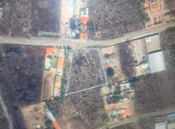 Terreno industrial , Ixtlahuacán de los Membrillos · Venta Terreno Huerta Vieja