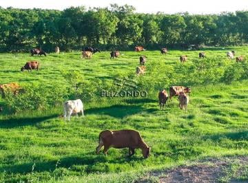 Terreno / Lote · 1200000m² · Rancho en Venta, Municipio de Ebano, S. L. p.