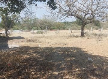 Terreno / Lote · 557m² · Terreno en Venta, en Alpuyeca Morelos