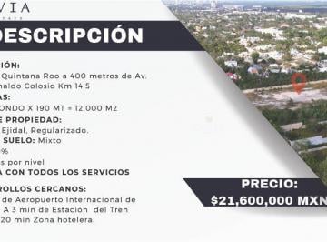 Terreno / Lote · 12000m² · Terreno en Venta