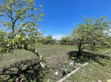 Terreno / Lote , Atlatlahucan · Terreno en Venta Cuachixolotera Atlatlahuacan, Morelos